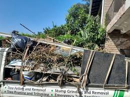 Best Residential Junk Removal  in Aviston, IL